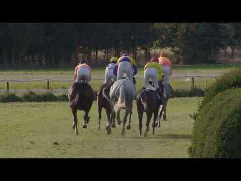 Dostihy Kolesa 19. 10. 2025 - 7. dostih - Cena Haras Lokotrans Cheval