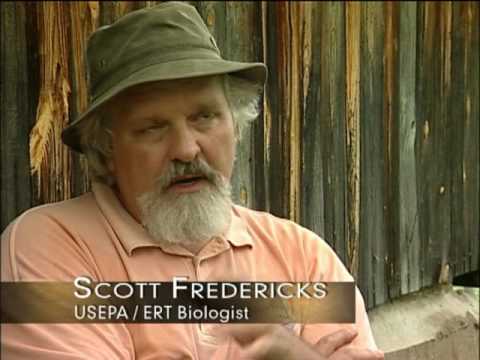 弗吉尼亞州克羅澤特植物修復項目 (Crozet, VA phytoremediation project)