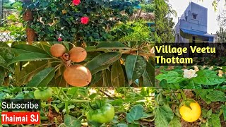 Village Veetu Thottam Home Garden Tour  கிர�