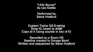 The truth about Little Beaver by Leo Kottke.mov