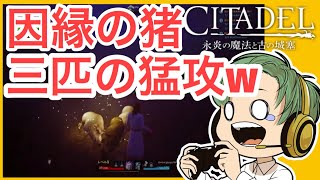 レベル10目指す！シタデル実況雑談プレイ10!!