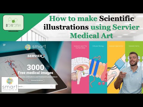 Servier Medical Art