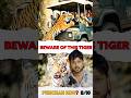 Who Is The World S Most Popular Tiger Bandhavgarh Tiger Reserve Forest