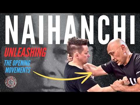 How To Use NAIHANCHI KATA in a FIGHT