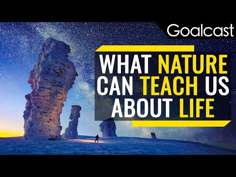 What Nature Can Teach Us About Life