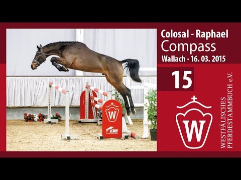 15 Compass Wallach v. Colosal - Raphael