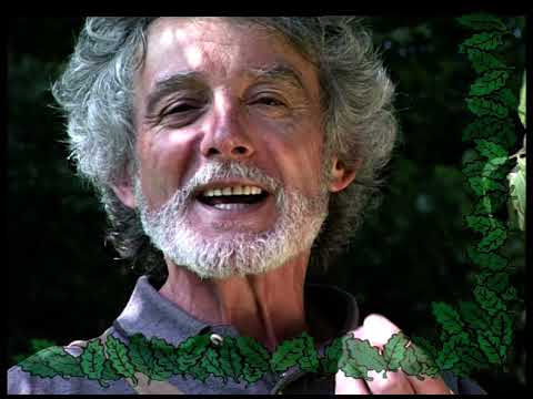 Dobrica Erić deci - Epizoda 15