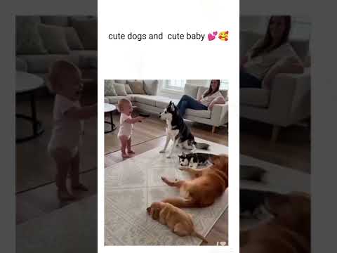 cute dogs and cute baby play a game 💕🥰