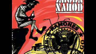 Zhoda Náhod - Strength to endure (Ramones cover)