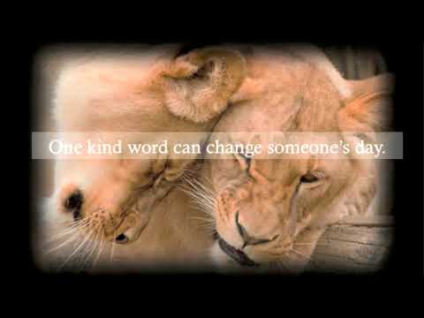 Believe in the Magic of Kindness