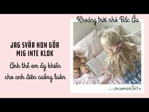 [Lyrics + Vietsub] Va Min - Victor Leksell ft. Jireel & Newkid