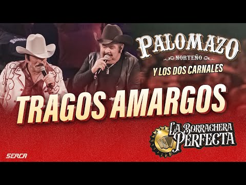 Palomazo Norteño  / Eliseo Robles - Tragos Amargos ( Video Oficial )