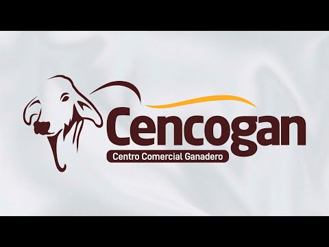 Subasta Ganadera  # 31 TARAZA ANTIOQUIA