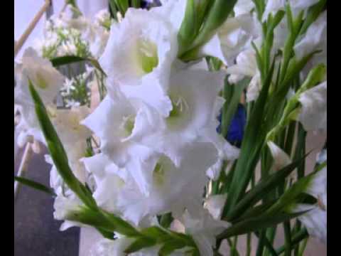 Monasterio el Olivar 6