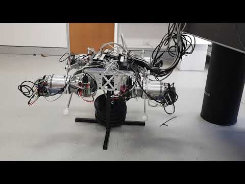 Undergraduate Thesis 2020 - Macleay Stephenson