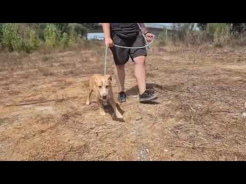 Vídeo de YUPI