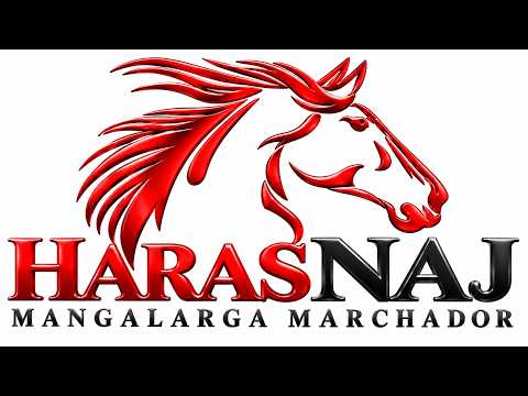 LEILAO HARAS NAJ 2026