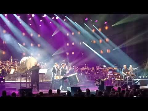 YALDA ABBASI mit SCHILLER und dem hr-SINFONIEORCHESTER  19.01.2024 Jahrhunderthalle