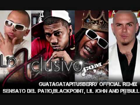 Watagatapitusberry Official Remix   Pitbull, Lil John, Sensato Del Patio and Blackpoint