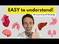 Anatomy And Physiology 101 The ULTIMATE Overview Learn A P Basics FAST