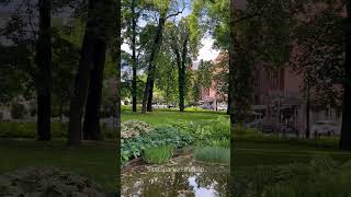 Fresh green at Slottsparken in Oslo, Norway 🇳🇴 #norway #park  #travel #oslo #ノルウェー #オスロ #北欧 #spring