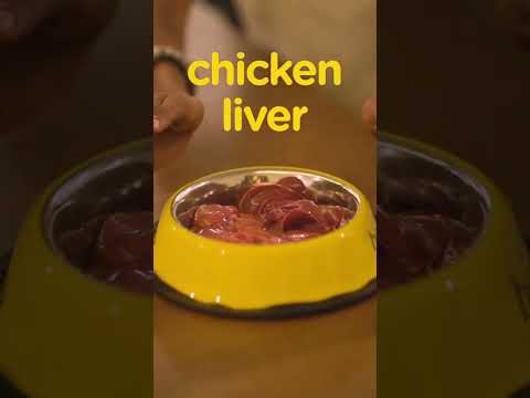 How to feed Chicken to your dog? | Expert Advice by Supertails Vets #shorts