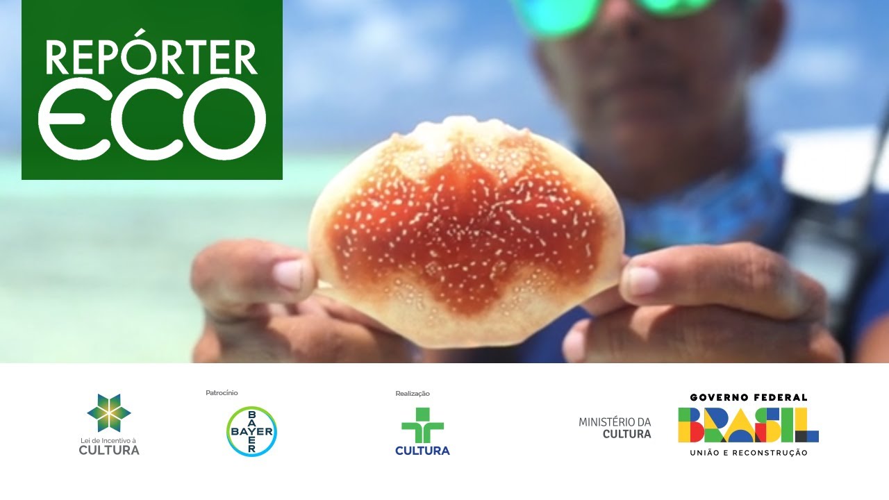 Repórter Eco | “Mulheres na Conservação” - 01/10/2023