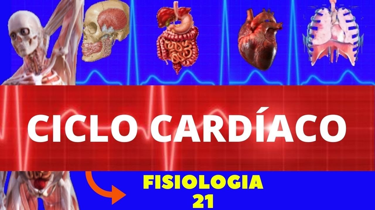 CICLO CARDÍACO (SÍSTOLE E DIÁSTOLE) - FISIOLOGIA CARDIOVASCULAR - FISIOLOGIA HUMANA (GUYTON)