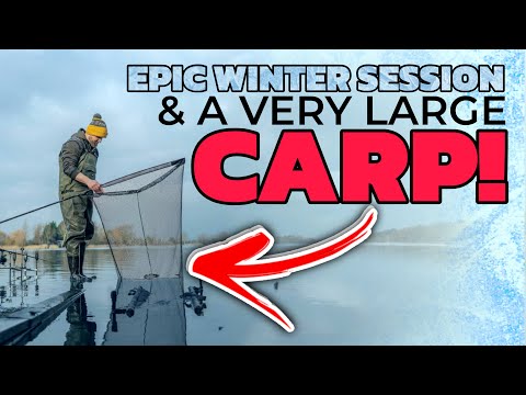 Winter Carp Fishing CARNAGE & MONSTER PB | One More Cast | Grenville Lake |