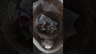 Download lagu anakan trucukan mp3 Download lagu anakan trucukan mp3