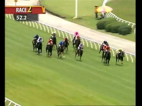 18 February 2012   Race 2