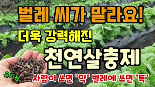 천연살충제 이거 뿌려 주면 벌레 씨가 마르고 작물이 잘 자라요 사람과동물에 안전하고 벌레만 죽이는 유기농살충…