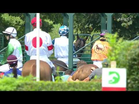 16. 8. 2025 - 5. dostih  - CENA SPOLEČNOSTI EFEZA