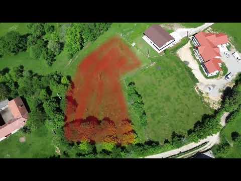 Teren cu priveliște spectaculoasă în Bran – Sohodol — Video
