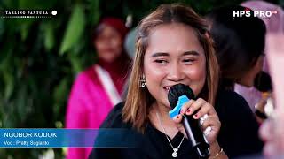 Download lagu TARLING DANGDUT NIRWANA || NGOBOR KODOK || SUKASARI, 28-08-2022 mp3 Download lagu TARLING DANGDUT NIRWANA || NGOBOR KODOK || SUKASARI, 28-08-2022 mp3