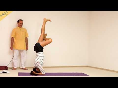 Halber Lotus im Kopfstand - Yoga Asana Lexikon