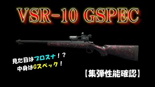 【実射】VSR-10 GSPECの集弾性能を確認してみた