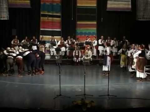 KUD "Svetozar Marković" Novi Sad - Igre iz beogradske Posavine