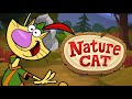 Nature Cat Nature Cat S Adventure
