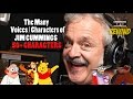 JIM CUMMINGS The Many Voices And Characters Of Cartoon Voice Actor