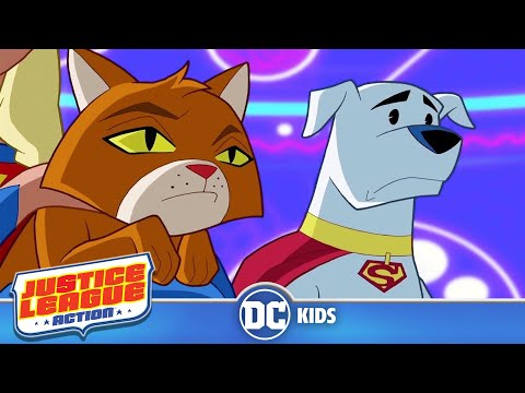 Justice League Action | Super Cats & Dogs | @dckids