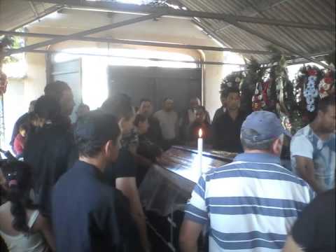 harapu dorolea bistrita