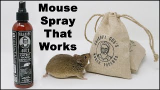 How To Evict Mice From Your Vehicle. Grandpa Gus Mouse Spray Works and Smells Great Mousetrap Monday