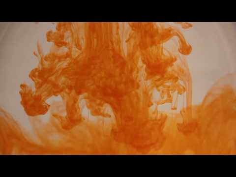 03. Homes Llúdriga - Otterboys