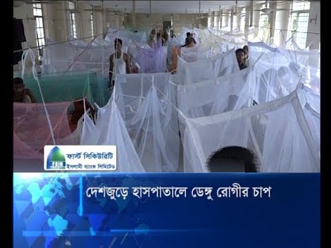 হাসপাতালে ডেঙ্গু রোগীর চাপ