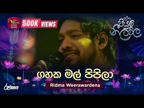 Gahaka Mal Pipila | ගහක මල් පිපිලා | Ridma Weerawardena | Piyum Neela Vila | Roo Tunes