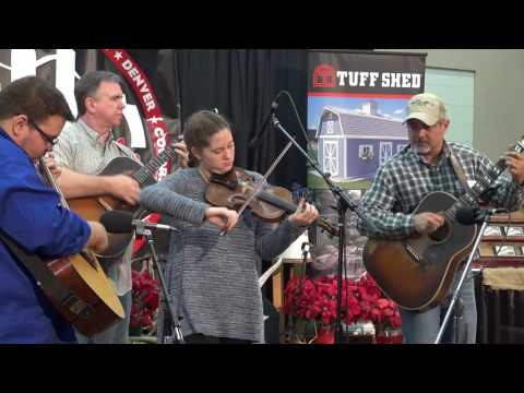 2017-01-08 JR2 Shira Ellisman - 2017 Colorado Fiddle Championships