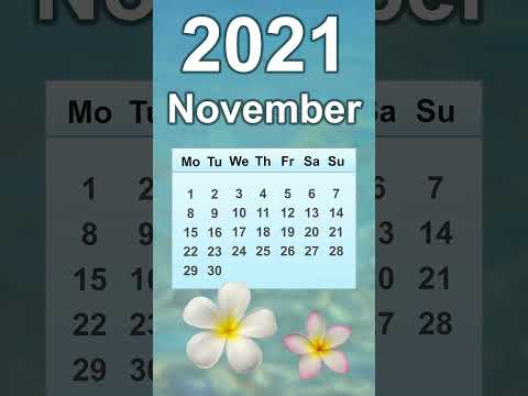 November 2021 Calendar