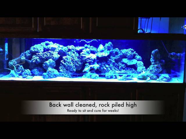 240 Gallon Reef Tank CRASHED!  No Power for 3 days.
