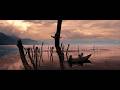 Osita A Heartbreaking Journey Of Migration Short Film About A Mother And Child From Guatemala